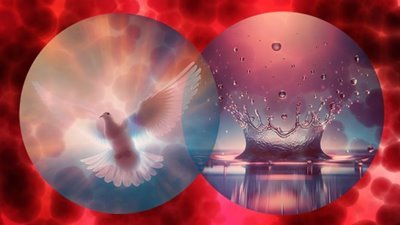 Blood Spirit Water